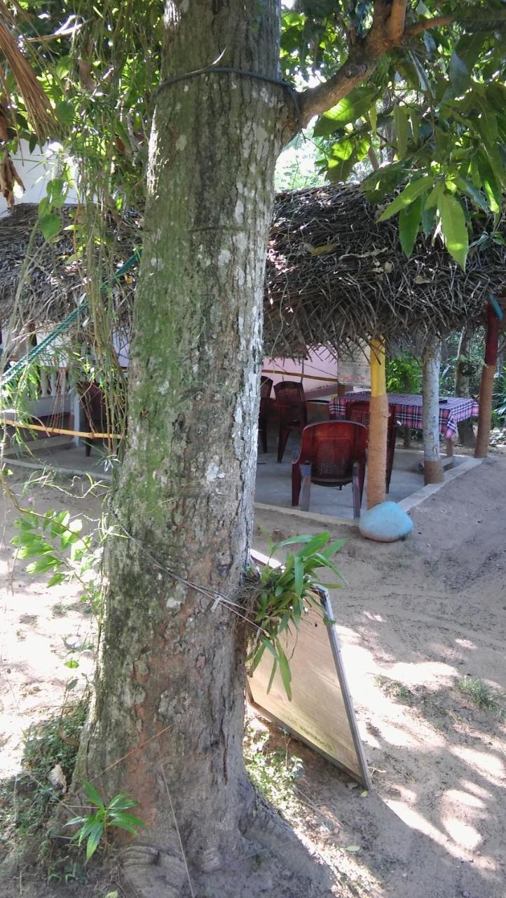 Thevindu Guest & Redmud Resturent Banduramulla Exteriör bild